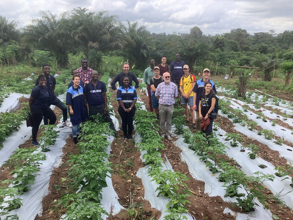 Defarmercist Alex Afari 🇬🇭 tweet media