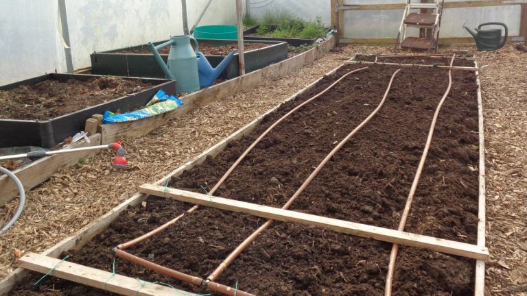 Polytunnel Centre Bed topped up and ready to go this is where  I’ll be growing sweetcorn and climbing French beans ow.ly/WzKl50N5vOQ