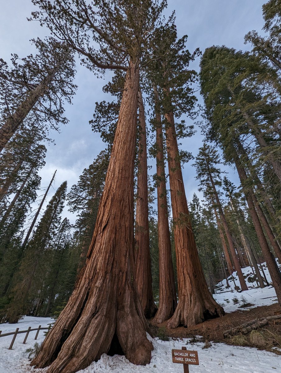 BabyBoomerSuperSaver tweet media