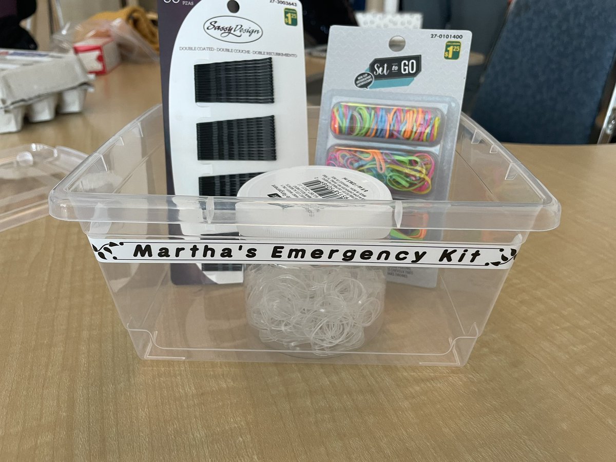 The Best! Thank you <a href="/misscarter26/">Ms.Carter</a> for my emergency kit. #kindness #bestcoworkers