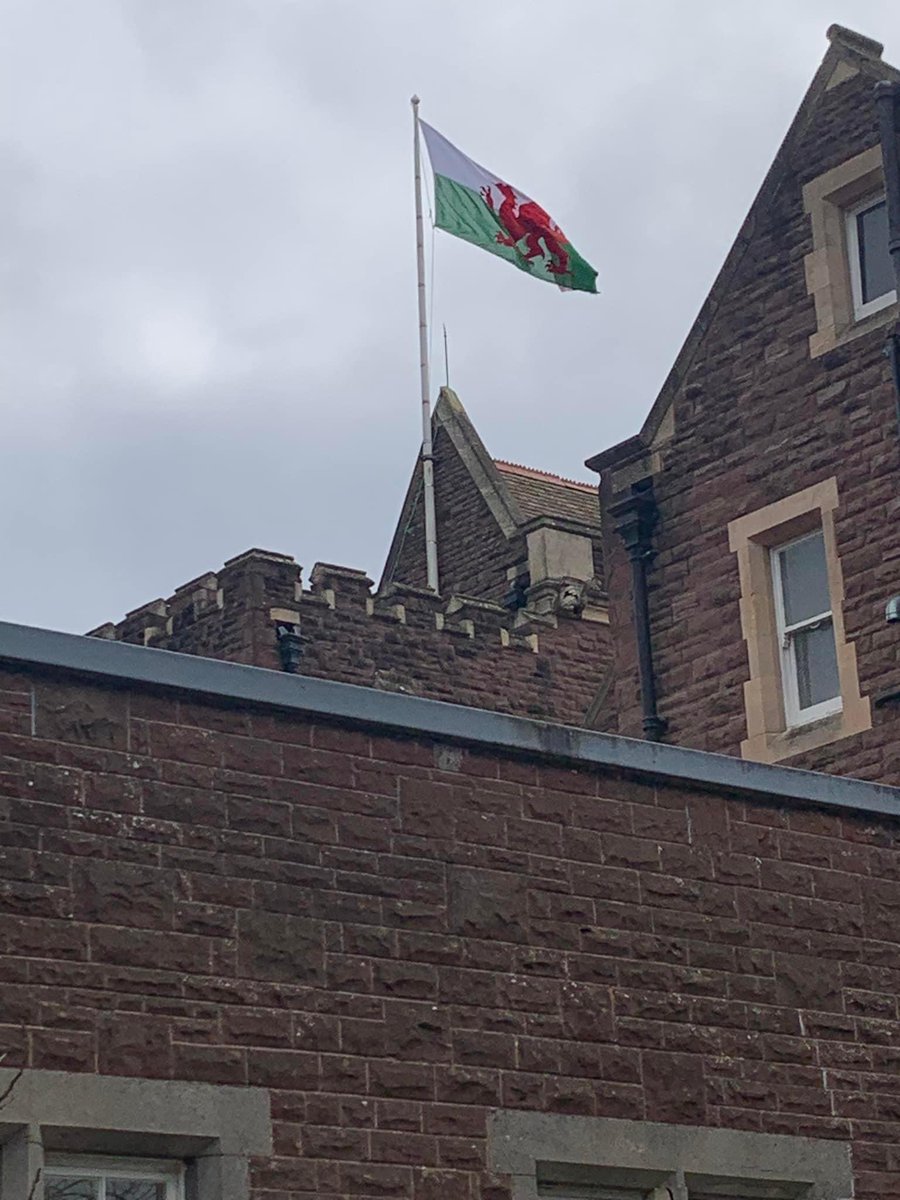 A very happy St David’s Day from pupils and staff at Haberdashers’ Monmouth Schools. Thanks to Mrs Jayne Morris, a long-serving teacher at Monmouth School for Girls, for this photograph. #StDavidsDay