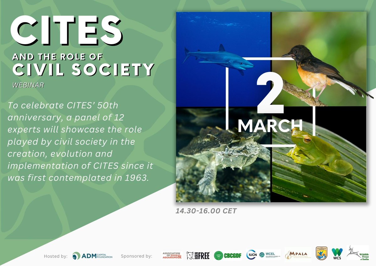 To celebrate the <a href="/CITES/">CITES</a> 50th anniversary, I am participating in a #webinar panel about civil society engagement with national #CITES authorities and delegations. Register now! bit.ly/3YXHISd <a href="/ADMCapFound/">ADM Capital Foundation</a>