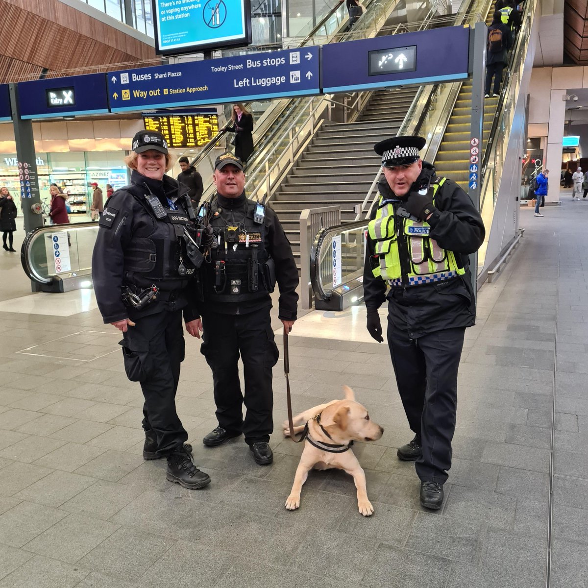 Thanks to Police Dogs Polly, Mace @BTPDogs & Elvis @CityPoliceDogs (as well as a few dozen Police officers!), a number of wanted criminals had a ruff day in London Bridge yesterday. Another slick operation by @MPSLondonBdgBID @BTPLondonBridge @BTPOSU @metpoliceuk @MPSSouthwark