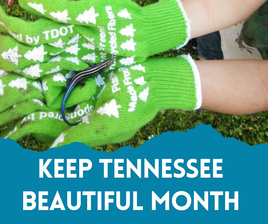 KeepTNBeautiful tweet media