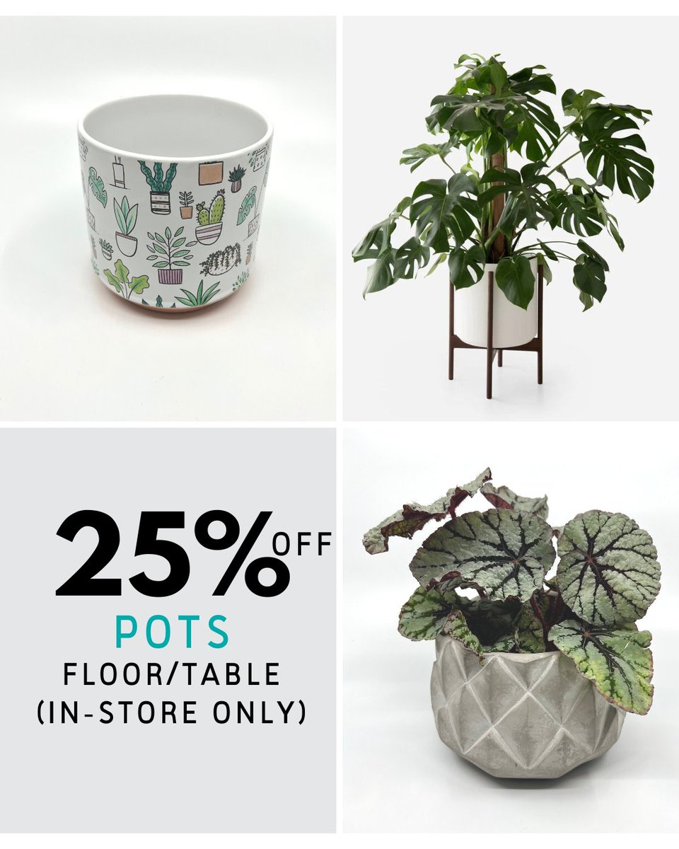 Articulture Designs tweet media