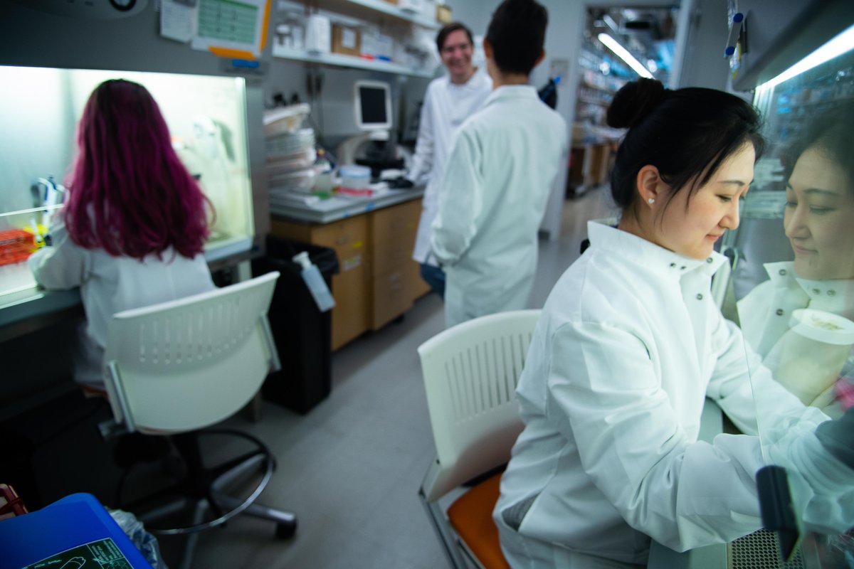 New York University on Twitter ".nevillesanjana and colleagues from