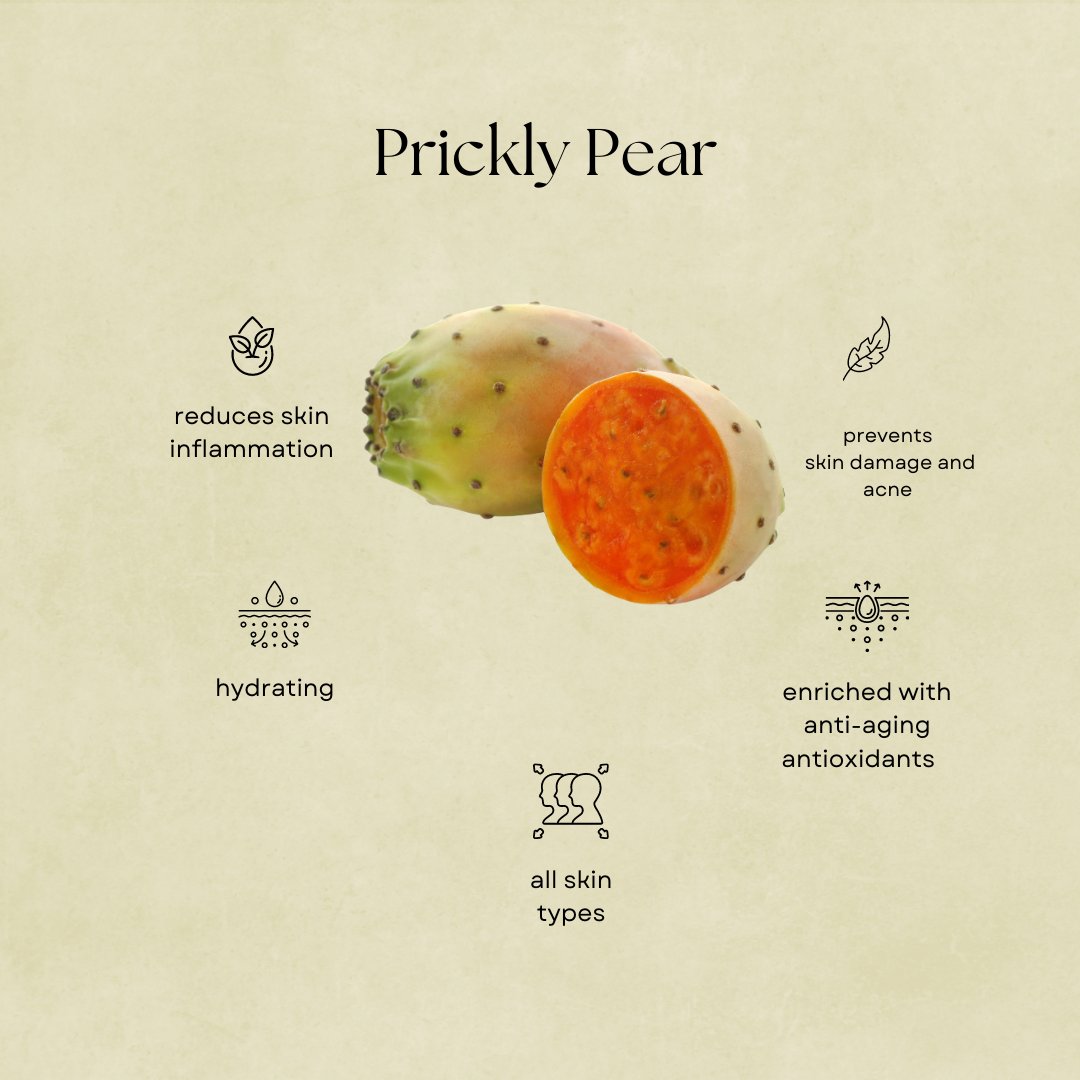 Benefits and elements of prickly pear 🌵 

#llhomd #llhomdbeautycare #llhomdbeauty #llhomdhair #llhomdskin #blackbeauty #naturalhair #blackowned #blackownedbusiness #blackbeautymatters #blackskincare #skincareroutine #curlfest #blackgirlmagic #celebratingblackwomen