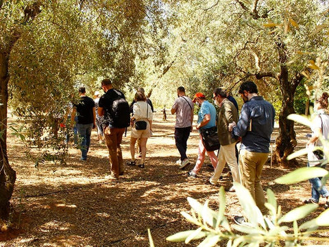 No hay mejor forma de desconectar que pasear por la Sevilla más rural. Descubre 5 rutas de senderismo que no te puedes perder. ➡️ haciendaguzman.com/blogs/all/sevi… via <a href="/HaciendaGuzman/">Hacienda Guzmán</a>

#ViveAndalucia #DateUnaAlegria #Andalucía