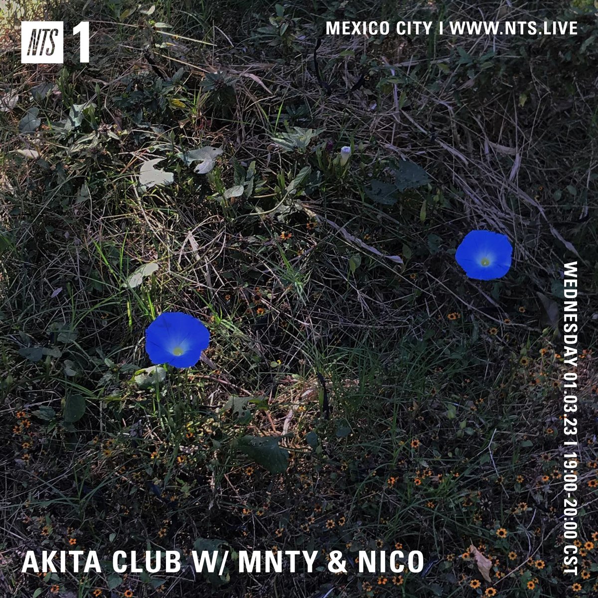 Tune in now to Akita Club, a young electronic music label from Mexico City, hosted by Nico and Mnty

Listen: nts.live/1