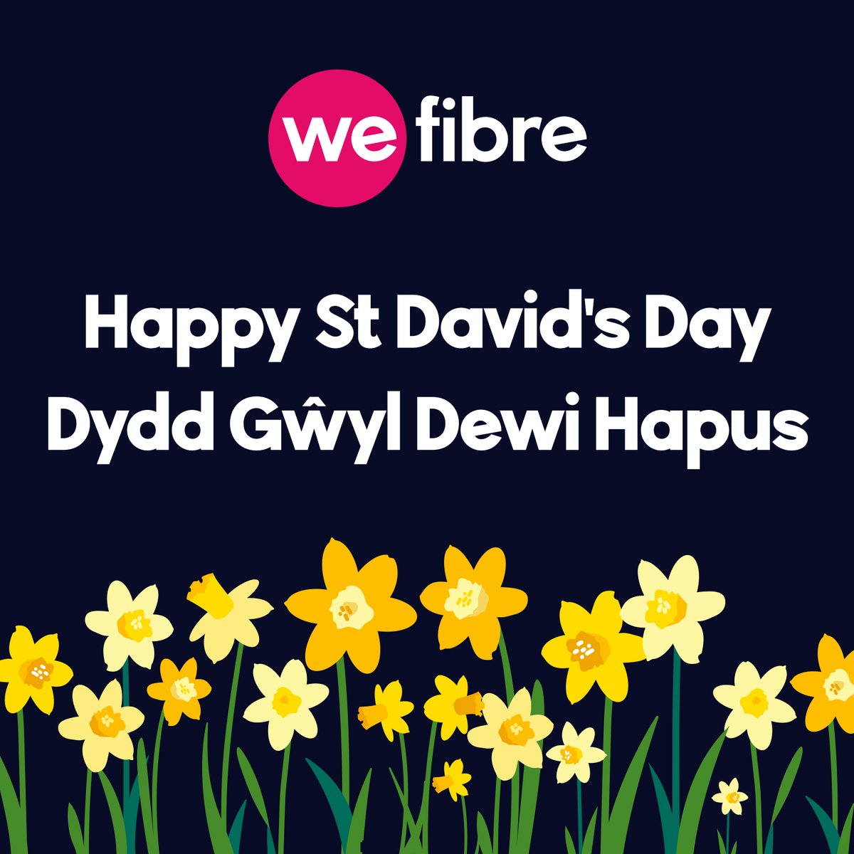 Dydd Gŵyl Dewi Hapus. Happy St David's Day to all our customers and friends in Wales.