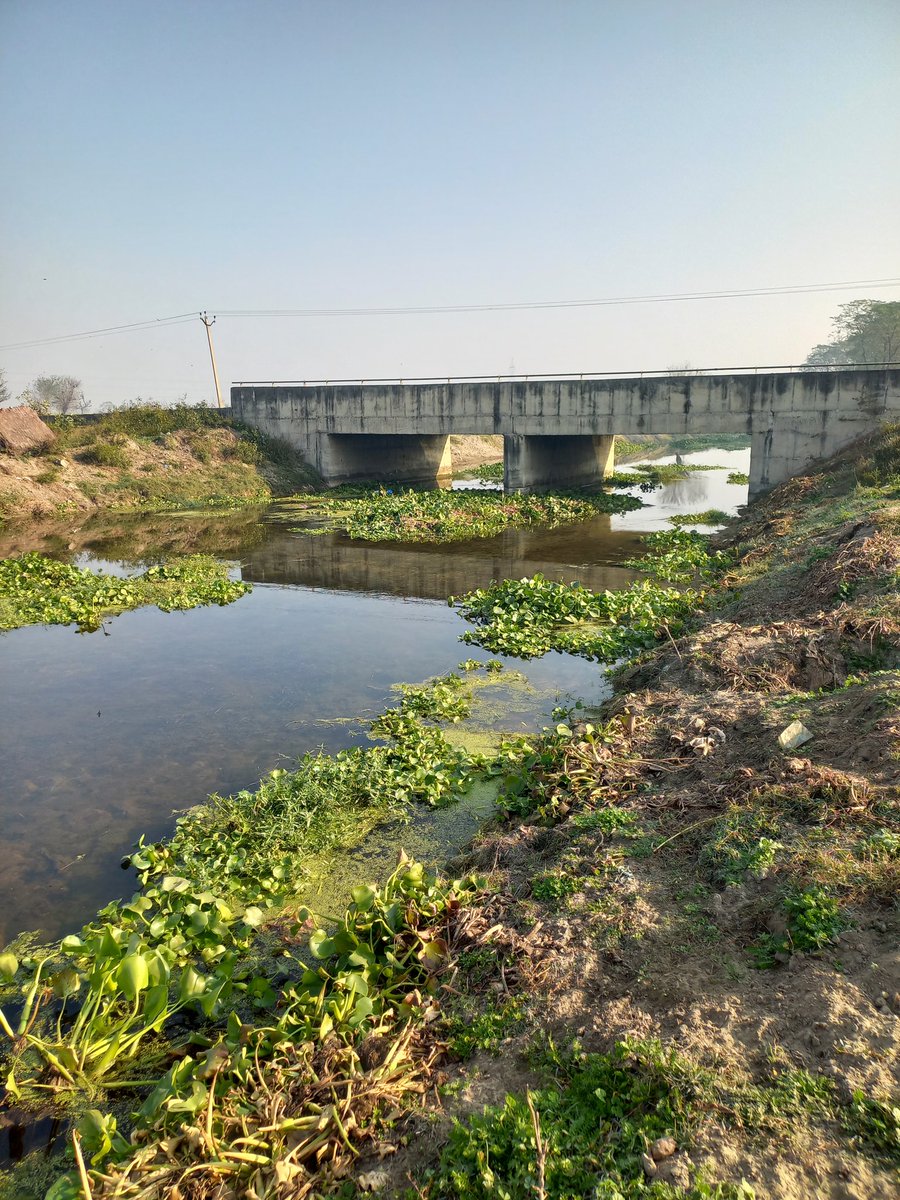 Lakhanpal1Cm's tweet photo. Commitment towards environmental resources is as important as towards the family and society. Stop Polluting Water, Air and Soil. Be committed to save lives !!! #StopPollutingBuddhaDarya #SaveSatluj #FreedomFromPollution #FreedomFromCancer #SavePunjab https://t.co/qCotoY5ymM