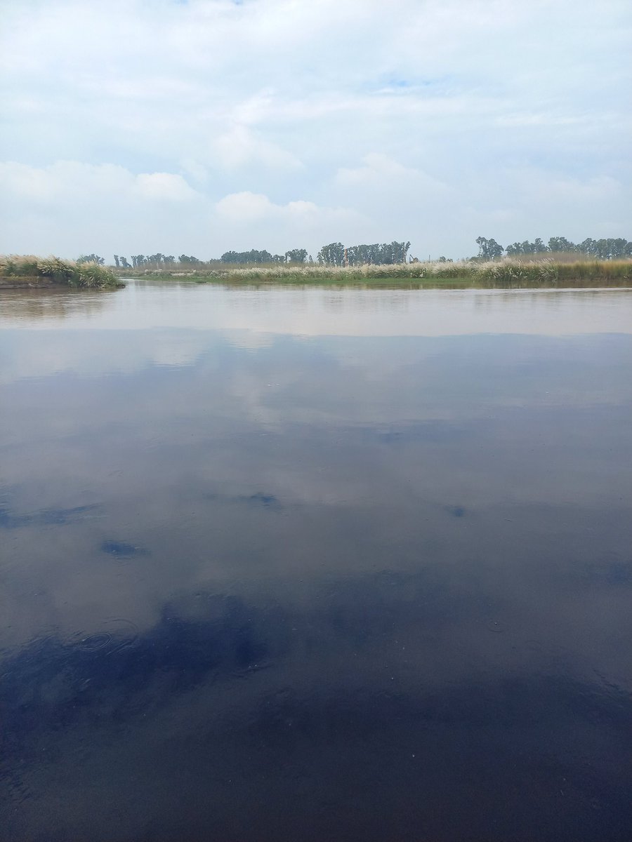 Lakhanpal1Cm's tweet photo. Commitment towards environmental resources is as important as towards the family and society. Stop Polluting Water, Air and Soil. Be committed to save lives !!! #StopPollutingBuddhaDarya #SaveSatluj #FreedomFromPollution #FreedomFromCancer #SavePunjab https://t.co/qCotoY5ymM