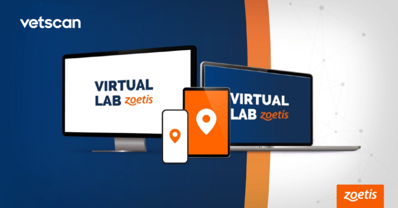 ZoetisEsp's tweet photo. 👉 ¡Presentamos #VirtualLab!
Una innovadora herramienta digital que integra los resultados de todos los dispositivos #Vetscan 🔬 🖥 en una misma plataforma.
Además, incorpora un servicio de consultoría clínica integrado por los especialistas 🧑⚕️ mundiales más reconocidos.