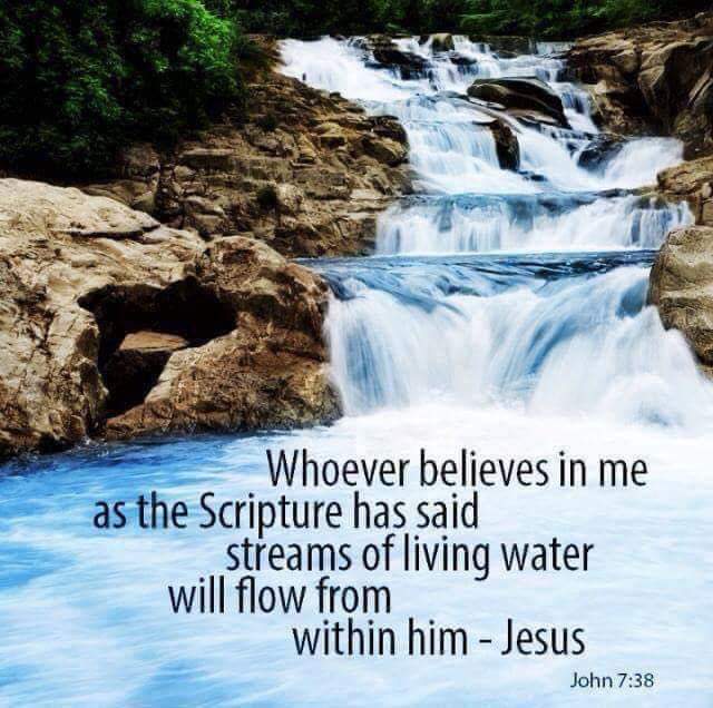 Suzi Holland (@suziholl316) on Twitter photo 