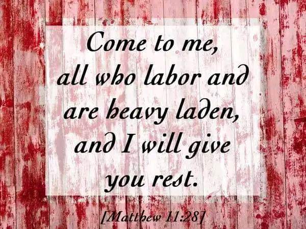 Suzi Holland (@suziholl316) on Twitter photo 