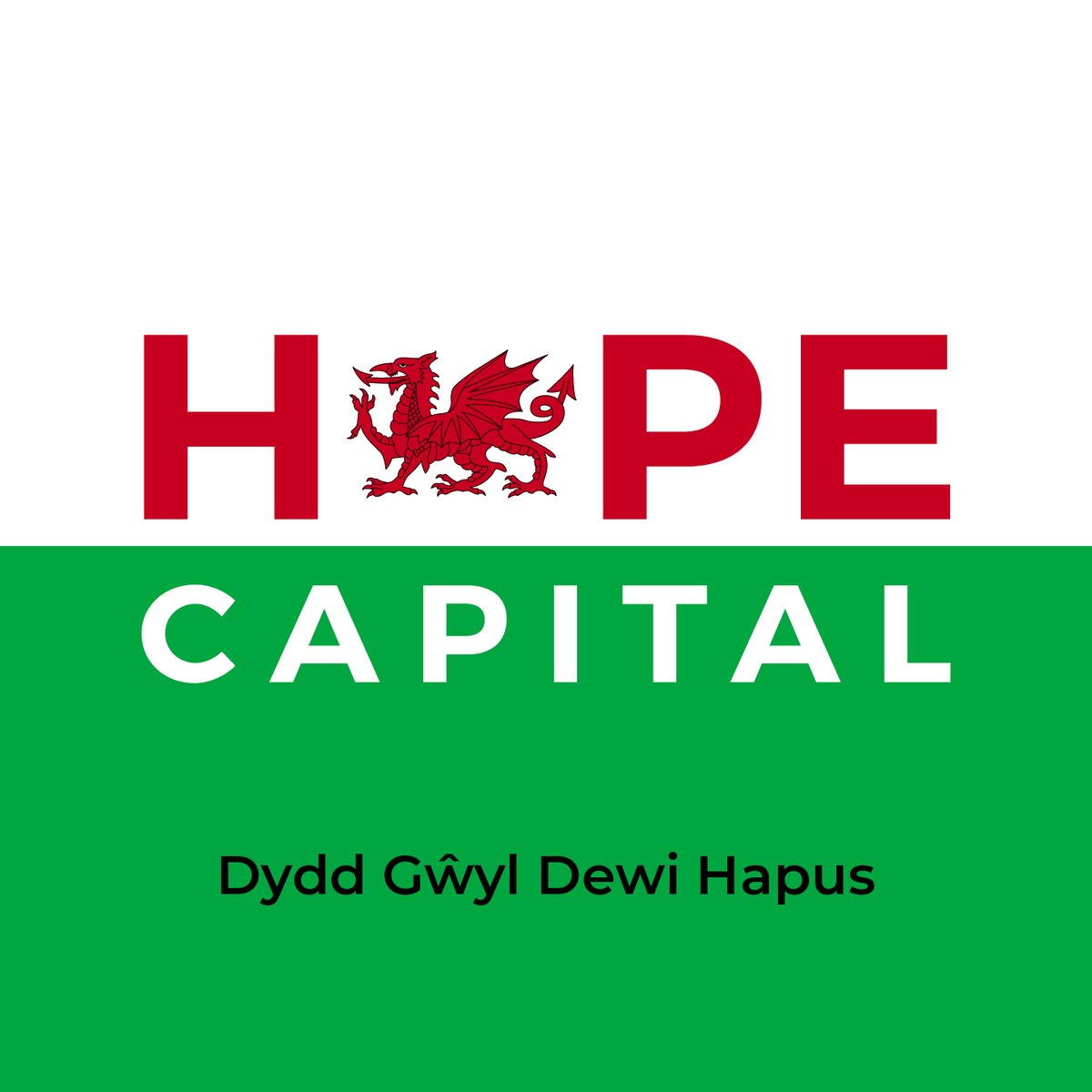 Dydd Gŵyl Dewi Hapus / Happy St David’s Day from the Hope Capital team! ❤️🏴󠁧󠁢󠁷󠁬󠁳󠁿

#stdavidsday #wales #bridgingfinance #bridgingloans #specialistlending