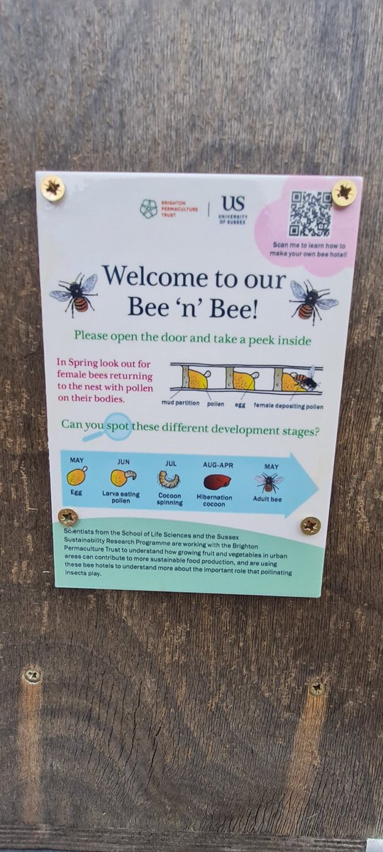 First solitary bee hotel prepped and painted, ready for another year providing nesting habitat for solitary bees in @BPTpermaculture community #orchards across #Brighton. Several more to go...