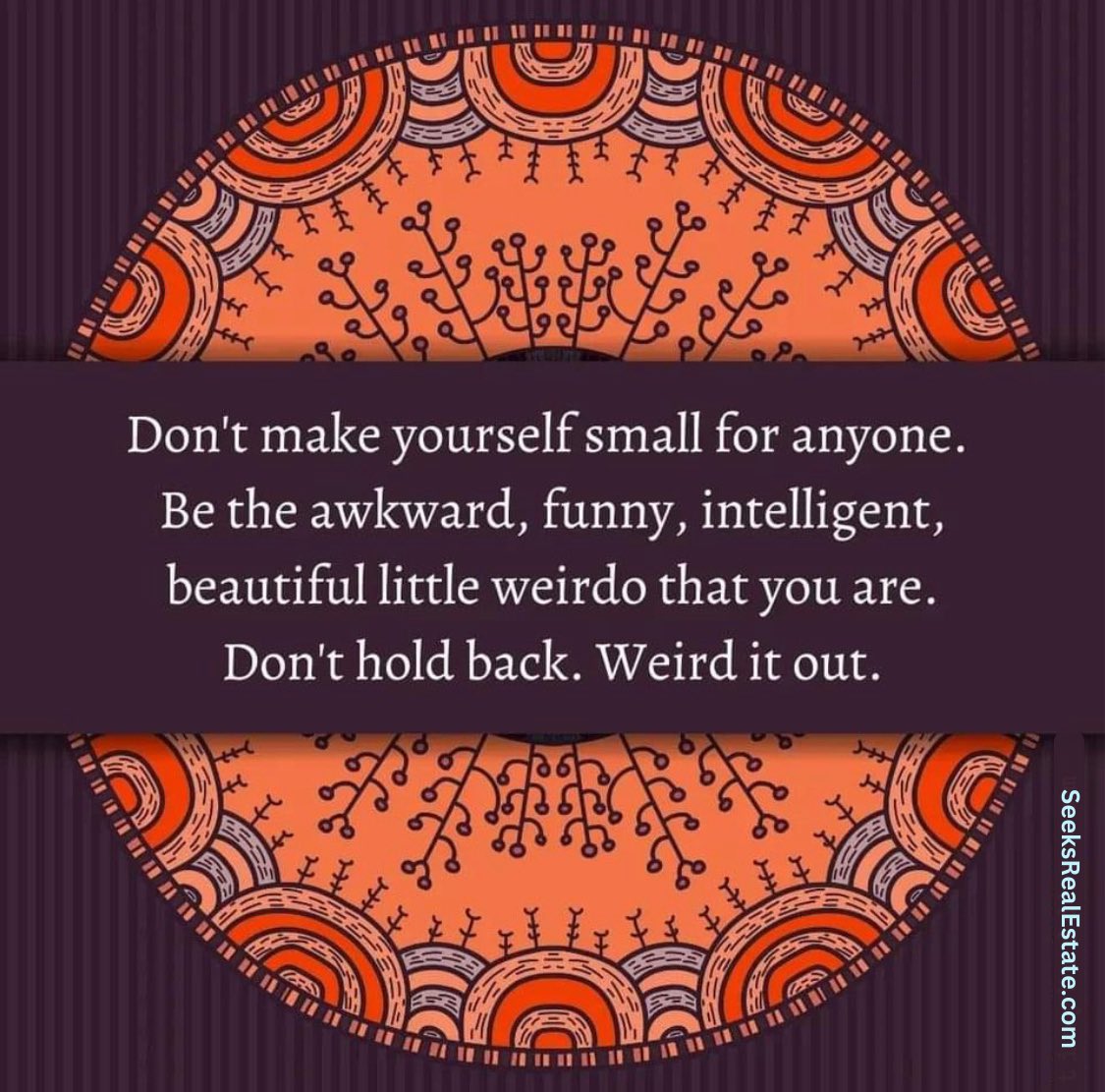 LakeLivingVA's tweet photo. #vibes #PositiveVibes #beyou #onlyone 💗💜🧡 https://t.co/7EZIts2N2F