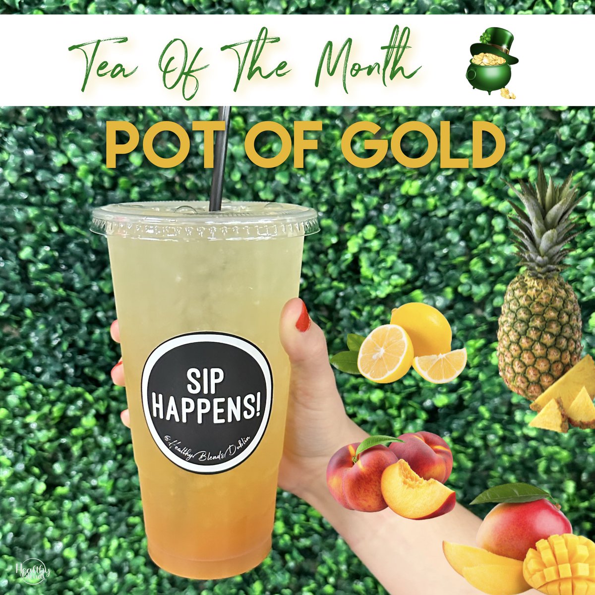 Healthy Blends tweet media