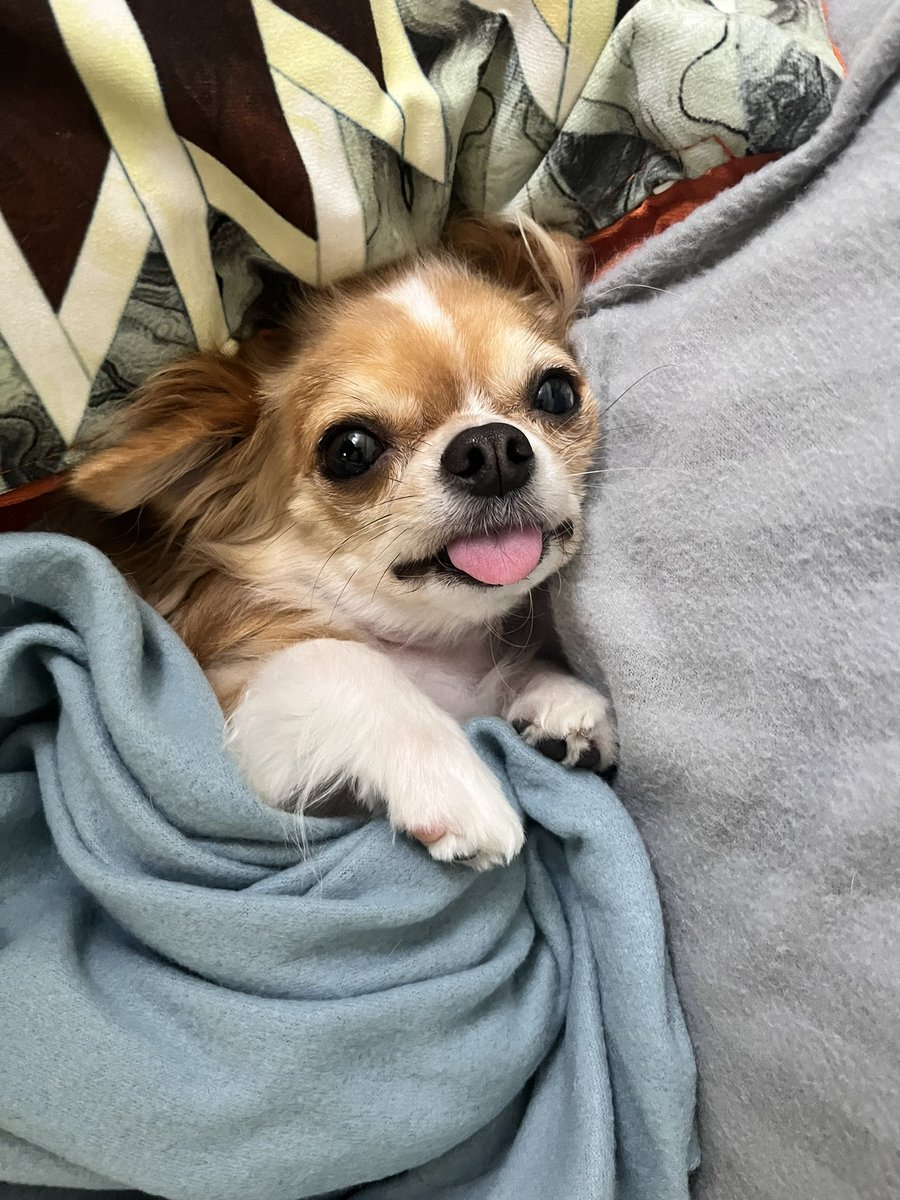 看相簿縮圖還以為是我有遊戲王梗圖
笑死