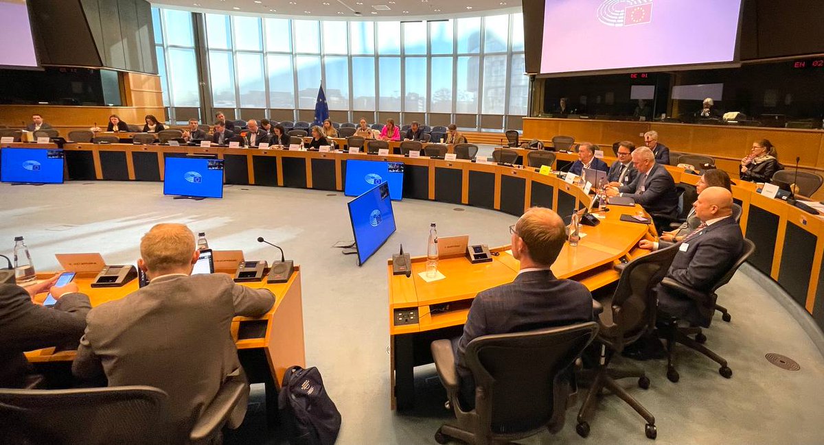 Heute fand ein Treffen der Freunde von #Belarus im @Europarl_EN statt. 'Wie kann die #EU der belarusischen Zivilgesellschaft in der derzeitigen Situation helfen?' - die Hauptfrage des heutigen Treffens, bei dem Michael Rubin die Botschaften des Volkes von Belarus vertrat.