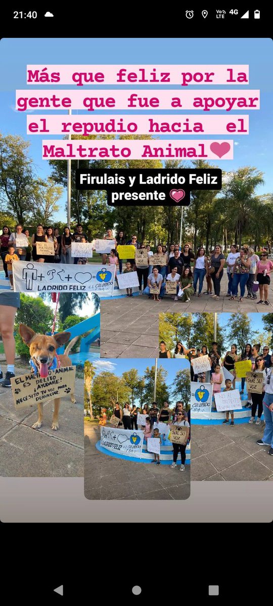 Dios bendiga estas organizaciones sin fines de lucro.