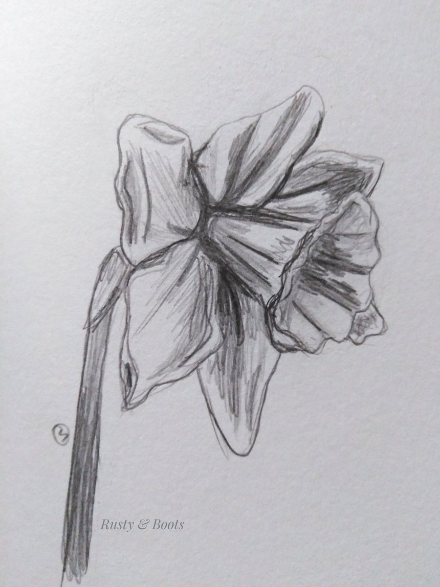 Day 8 of the #100dayproject
A daffodil! 💛 Had to be for St David's Day!
Dydd Gwyl Dewi Hapus! 💛🏴󠁧󠁢󠁷󠁬󠁳󠁿💛
Happy St David's Day! 💛🏴󠁧󠁢󠁷󠁬󠁳󠁿💛

#stdavidsday #dyddgwyldewihapus #HappyStDavidsDay