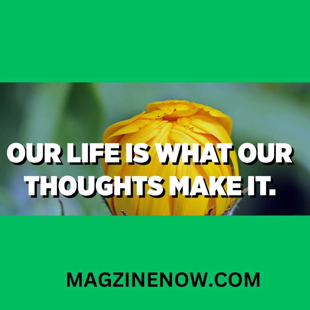 #magzinenow #thoughts #thougtoftheday #motivation #inspiration #success #life #motivated #positivity #positivemindset