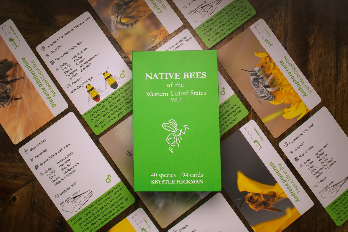 The #Kickstarter fundraising campaign for The Native Bees of the Western United States Flashcards is now LIVE! 

Thanks in advance for your support!
kickstarter.com/projects/beefl…
