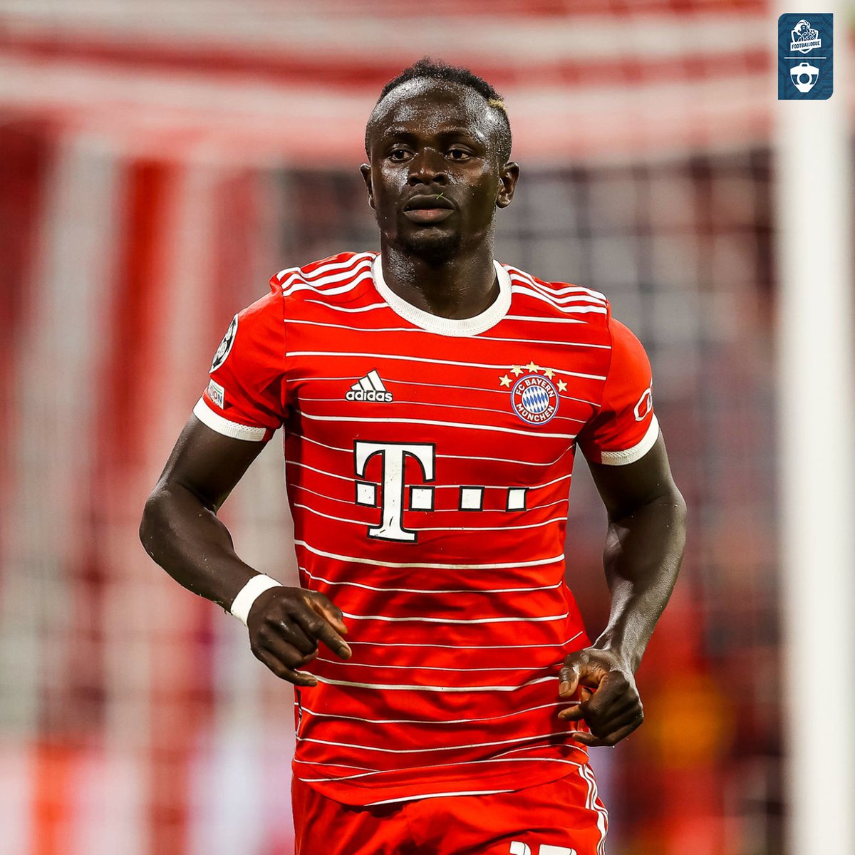 Sadio Mané 💬 : "Si vous me demandez si nous pouvons battre toutes les équipes : absolument, je ne vois aucune équipe plus grande que le Bayern ou imbattable !" 💪

(<a href="/SPORTBILD/">SPORT BILD</a>)