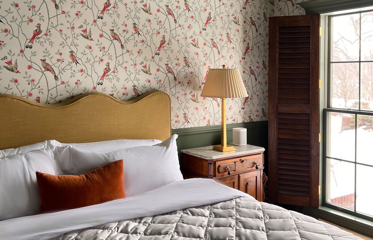 Want a Truly Amazing Sleep Experience? Invest in These Pieces. witanddelight.com/2023/02/amazin…