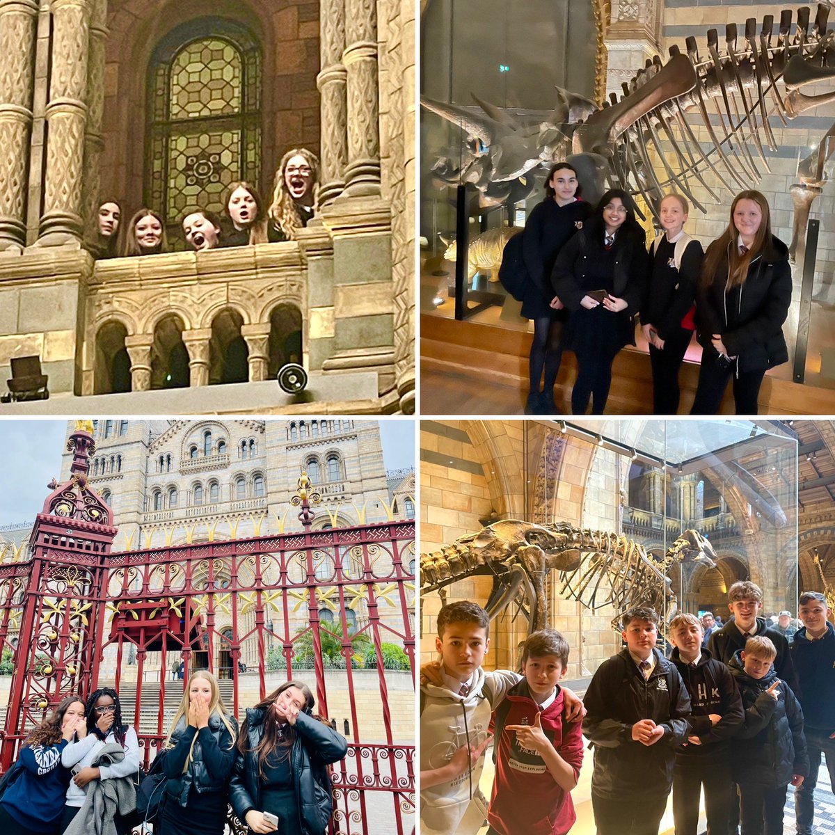 chs_humanities's tweet photo. Year 9 had a great day @NHM_London. Supporting pupils to develop their knowledge, skills and experiences. https://t.co/i0Sc8eLOvk
