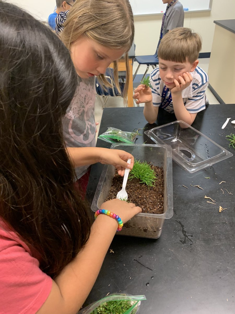 Building our terrariums!! #adventureawaits