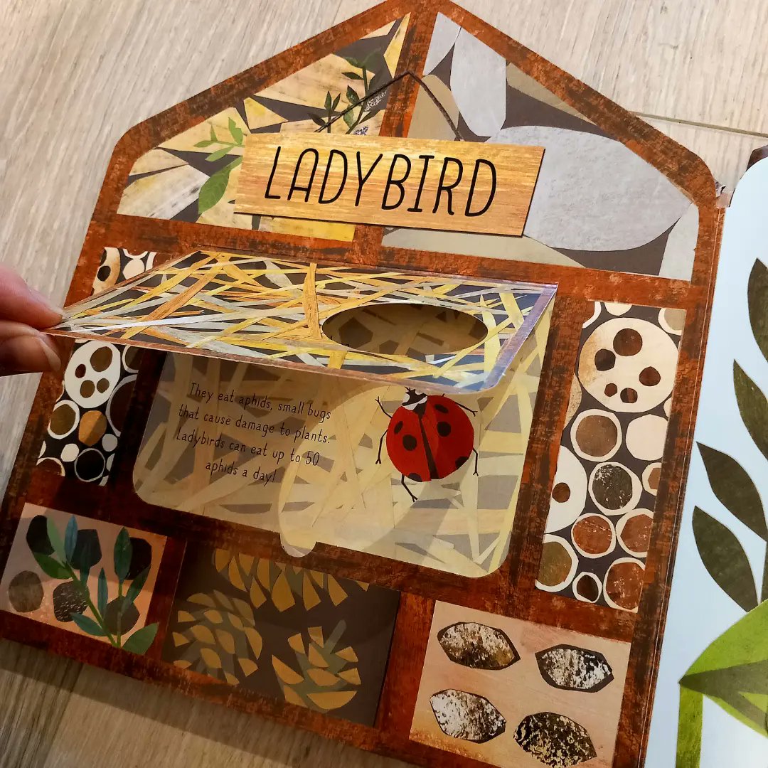 talesfortadpole's tweet photo. Here's 3 fantastic #BoardBooks for young #nature enthusiasts! Kids can learn about all sorts of furry, feathered & crawly creatures & their homes, by lifting the flaps to discover fun surprises underneath 😃 #LibbyWalden #CloverRobin #LittleTigerPress
https://t.co/y7XoEvRIQm https://t.co/88cW33KqCY