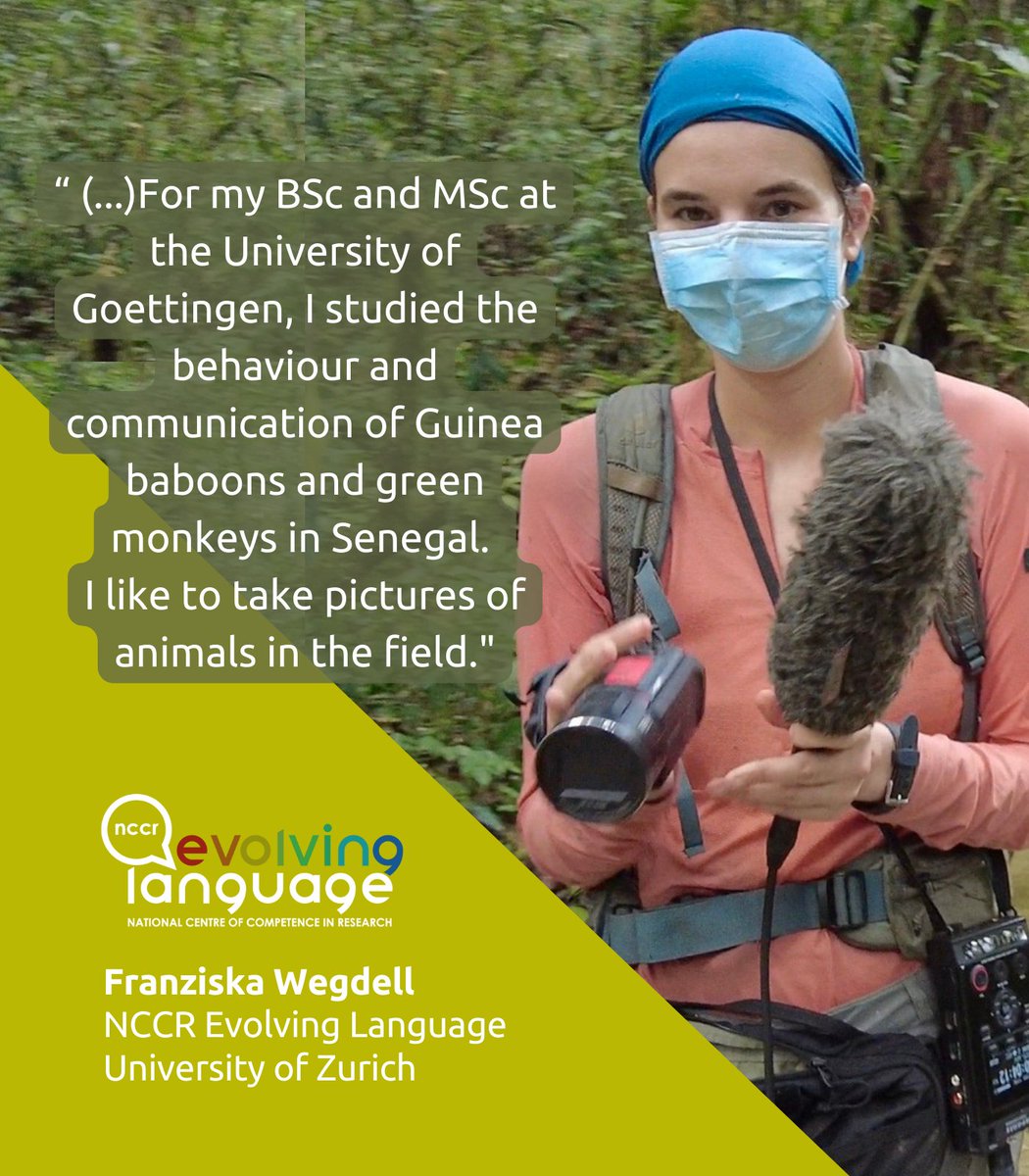 NCCR Evolving Language (@nccr_language) on Twitter photo Our second researcher for this #NCCRWomen week is
<a href="/FranzisWegdell/">Dr. Franziska Wegdell</a>! She is a PhD student
<a href="/UZH_en/">University of Zurich</a>, researching vocal communication of wild bonobos <a href="/kokolopori/">Kokolopori Bonobo Research</a> Bonobo Research. <a href="/ISLE_uzh/">ISLE</a> <a href="/DeptCompLangSci/">Department of Comparative Language Science</a> <a href="/NCCRWomen/">NCCRWomen</a> Our second researcher for this #NCCRWomen week is
<a href="/FranzisWegdell/">Dr. Franziska Wegdell</a>! She is a PhD student
<a href="/UZH_en/">University of Zurich</a>, researching vocal communication of wild bonobos <a href="/kokolopori/">Kokolopori Bonobo Research</a> Bonobo Research. <a href="/ISLE_uzh/">ISLE</a> <a href="/DeptCompLangSci/">Department of Comparative Language Science</a> <a href="/NCCRWomen/">NCCRWomen</a>