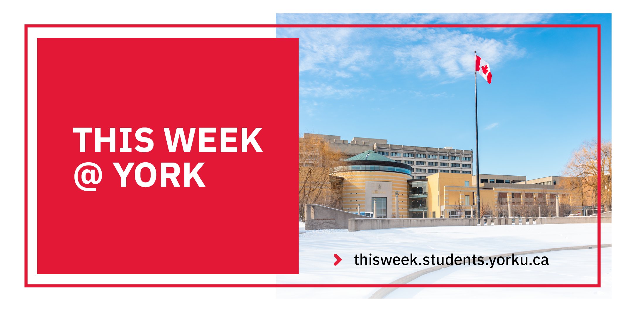 York University Students (yorkustudents) / Twitter