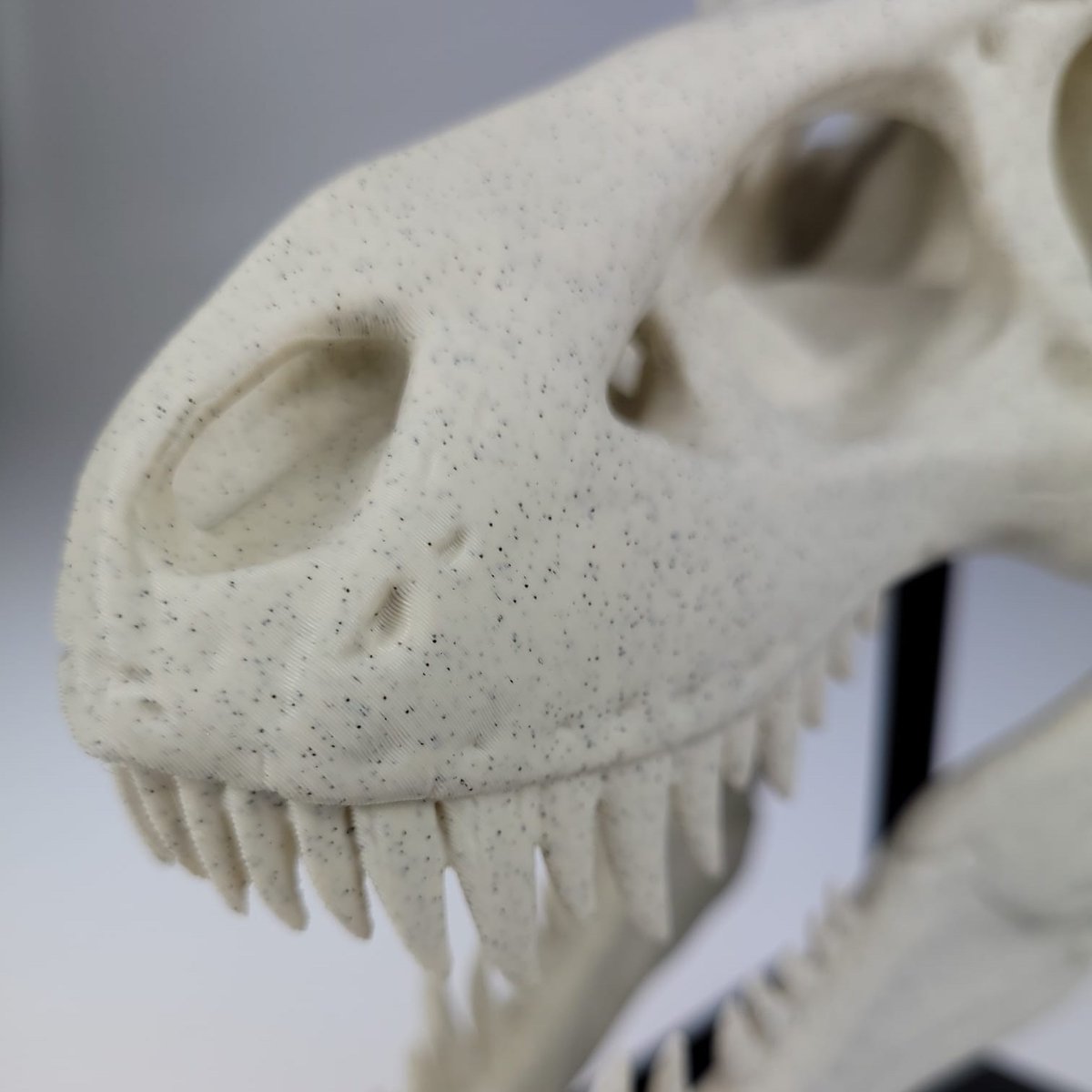 Our Stone Age PLA series is exceptional for ancient-look prints. High layer masking gives unique stone effect.  🏛️ 🗽 🗿

#printedwithspectrum #spectrumfilaments #3dprinting #3dprinted