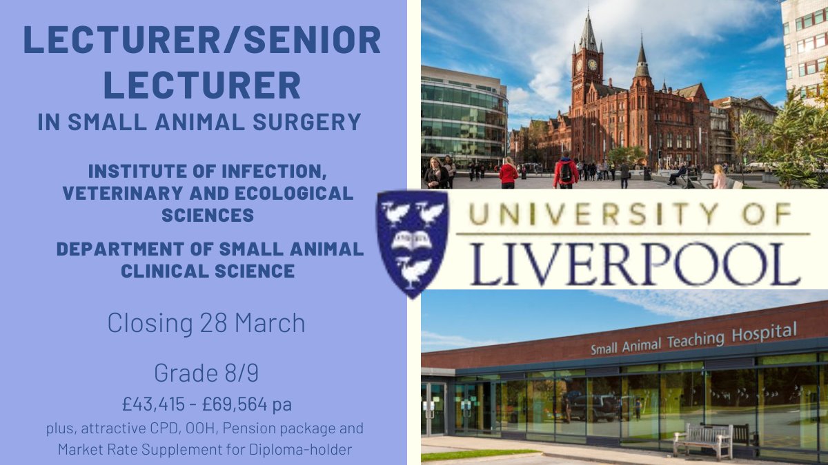 LECTURER/SENIOR LECTURER. We have an exciting opportunity to join our dynamic surgery team based in the Small Animal Teaching Hospital at #Leahurst. Find out more and apply here: bit.ly/056471 #jobs #veterinary #surgery @LivUni_IVES @livuniHLS