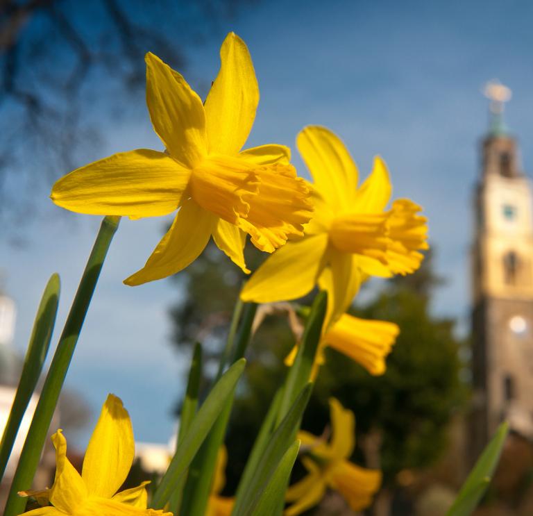 FinancePennant's tweet photo. Dydd Gwyl Dewi Hapus / Happy St David's Day #GwylDdewi #StDavids #Wales https://t.co/5lpGRjAdvZ