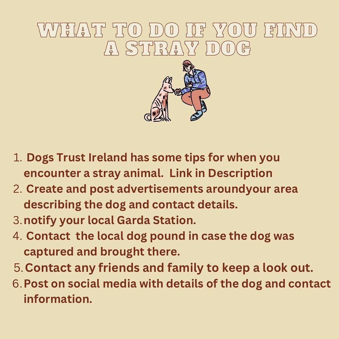 Friendsfurver22's tweet photo. 🐶Preparing for the unexpected Day 3: What to do if you come across a stray dog 🐶 @DogsTrust_IE #DogsofTwittter #dog #trending #abandonedpuppies #rescue #adoptdontshop https://t.co/Doa5jIBan0