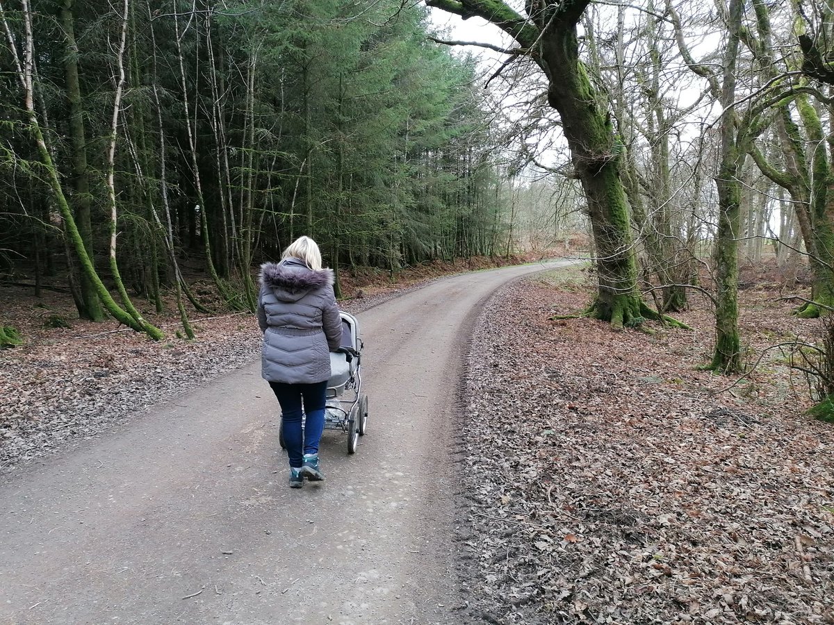 bhannigan93's tweet photo. Lovely afternoon for a stroll through #Dunskey estate https://t.co/9S197UJHi3