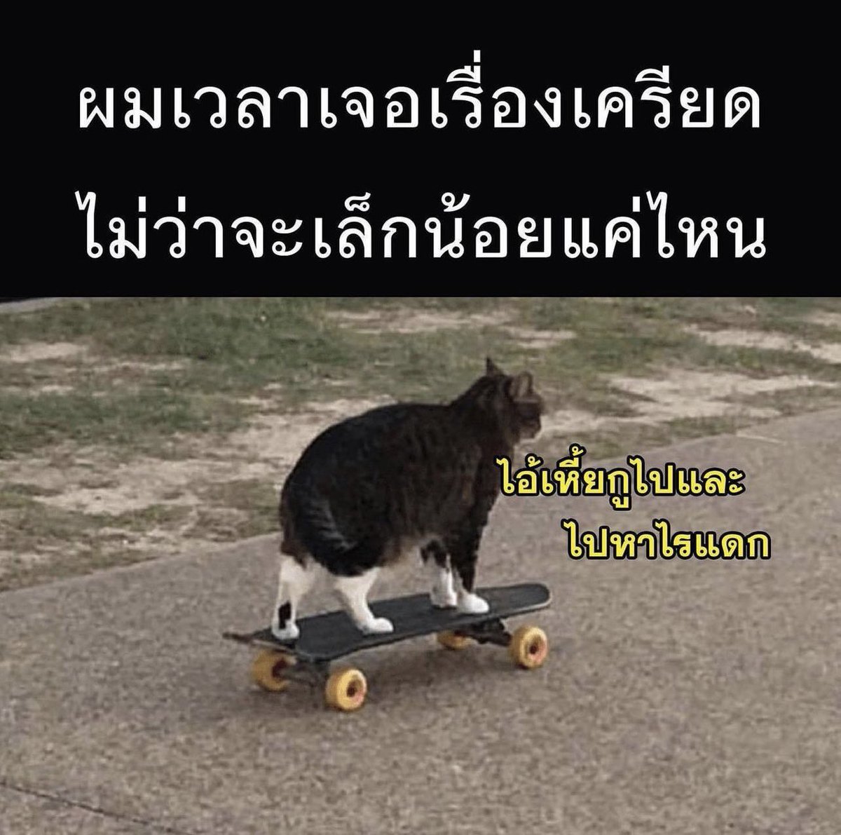 กูเป็น เรื่องแดกสำคัญ 55555555555555555555555555555555555555555555555555555