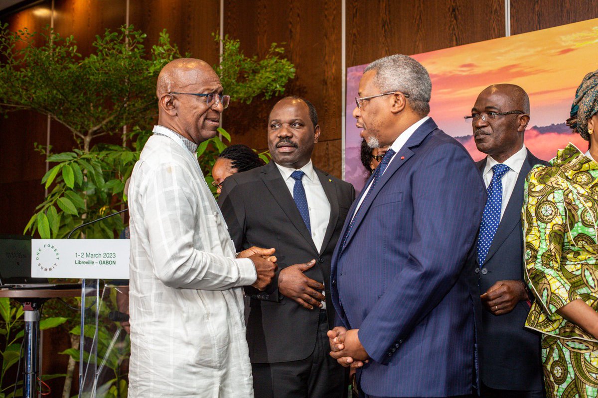 Promotion & Investissements Gabon tweet media