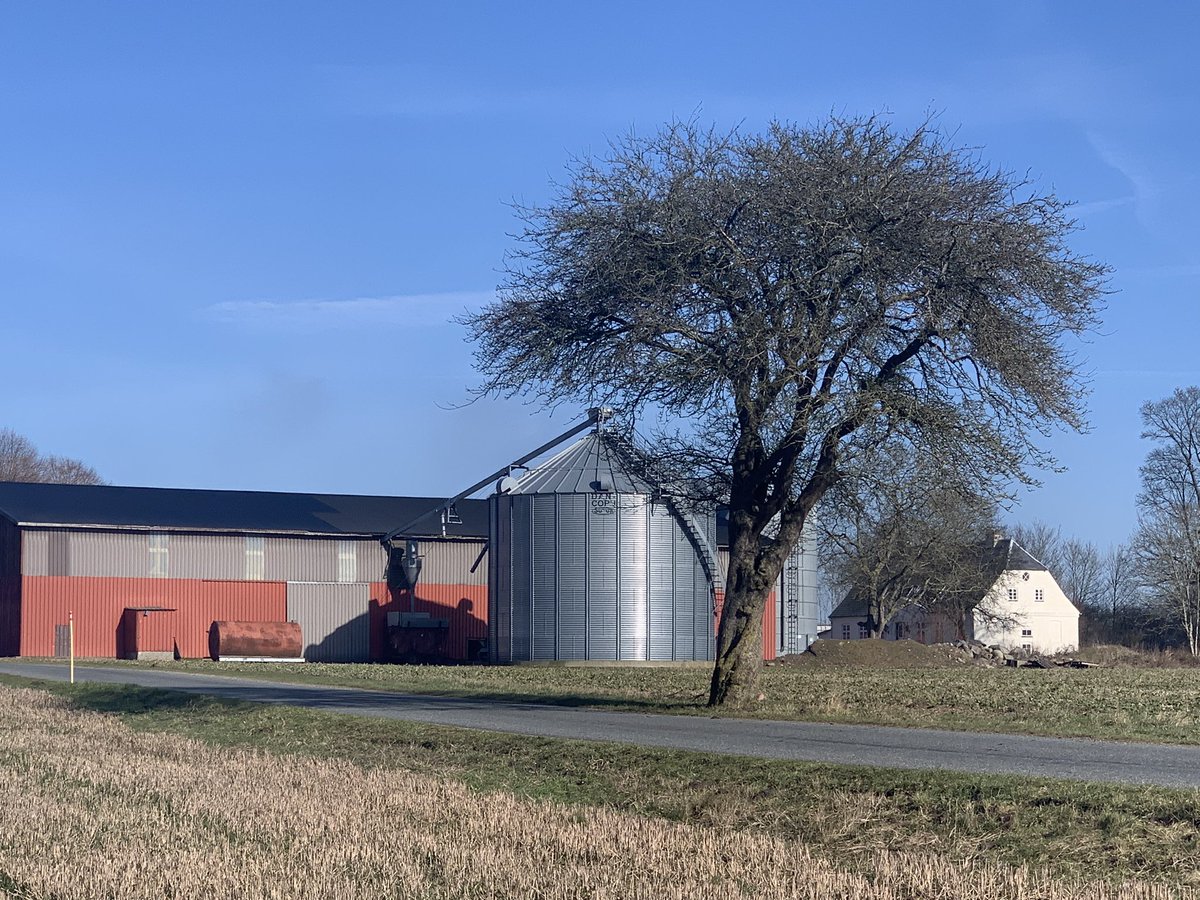 siafucomms's tweet photo. Fascinating to look at #conservationagriculture in Denmark. Thanks to @LGSeedsUK for organising https://t.co/MhL4dWJUrN