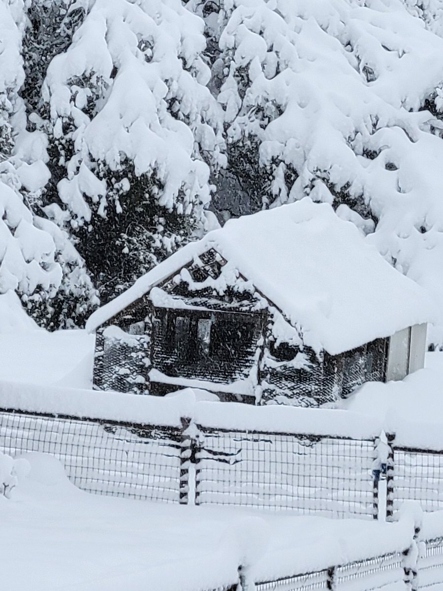 vaskenhauri's tweet photo. The storm is supposedly over now. Here are some shots of our coops and vehicles. Now off to shovel! https://t.co/7QKVMNKToo
