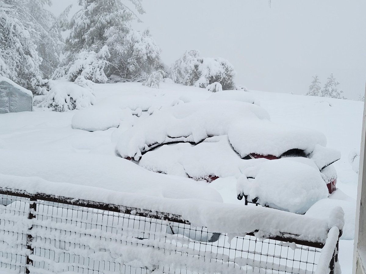 vaskenhauri's tweet photo. The storm is supposedly over now. Here are some shots of our coops and vehicles. Now off to shovel! https://t.co/7QKVMNKToo
