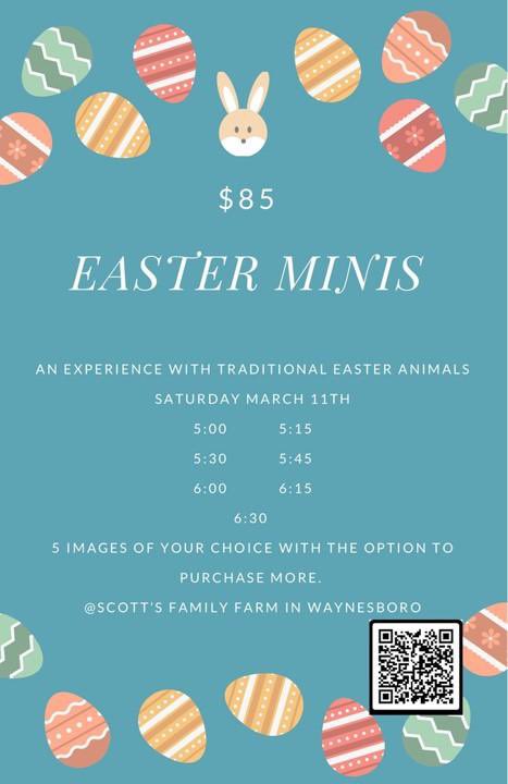 scott_farm_ga's tweet image. Remember to book Easter photos! Baby bunnies &amp;amp; chicks are here next Saturday and only 7 sessions remain!! First book basis. #Easter2023 #easterminisession #scottfamilyfarmga #easterphotosession