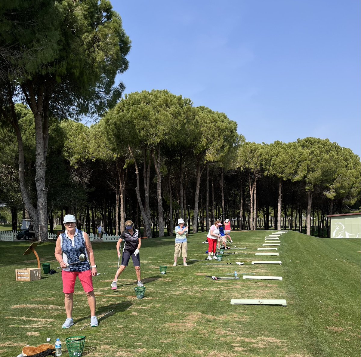 Long game coaching and practice in the sun 🏌️‍♀️☀️