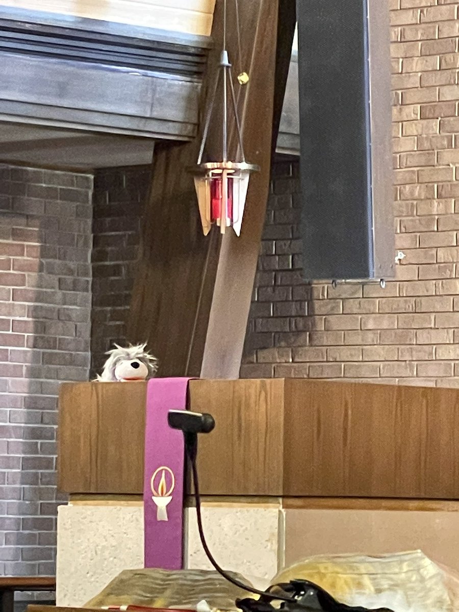 Elizabeth Kiessling tweet media