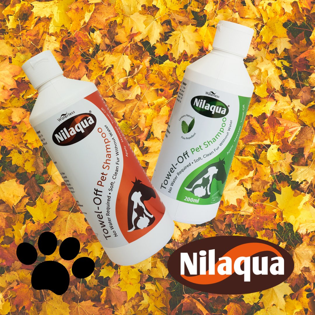 amh_md's tweet photo. Nilaqua® flüssiges Trockenshampoo für Tiere
Für Sie und Ihren Hund völlig stressfrei. Einfach auf das Fell auftragen, einschäumen und trocken rubbeln.
Jetzt bestellen: https://t.co/syoAPb53ox
#hundeliebe #hundepflege #hunde #dog #pet #petshampoo #tierarzt #tierfreunde #hundezucht https://t.co/BcjBflXZiJ